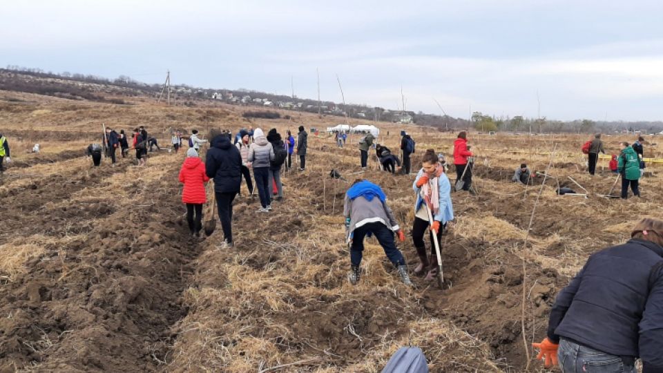 Theory and practice of tree planting in Balabanesti - schools and administrators planted over 7,000 trees