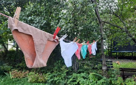 Toxic chemicals in underwear? Women are a high-risk group when looking for bisphenols in textiles