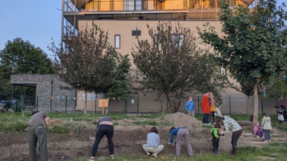Arnika pomáhá Praze rozkvést: vysela květnaté louky na sedmi komunitních zahradách, další vznikne u Nuselských schodů