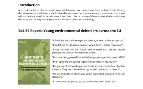 TESTIMONIES: UNECE Aarhus Convention side event on Environmental Defenders