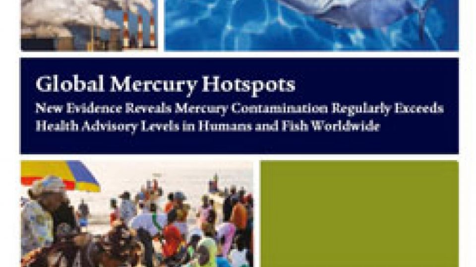 Mercury treaty	must	reduce global emissions