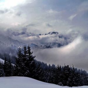 Pohled_z_prĹŻsmyku_Kok_Zhailau_Peak_Big_Almaty.jpg