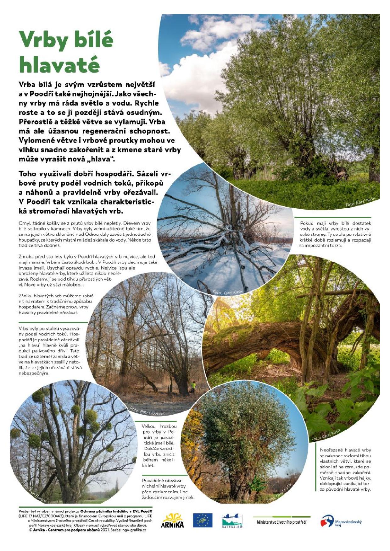 Vystava Za starymi stromy v Poodri01 converted page 007