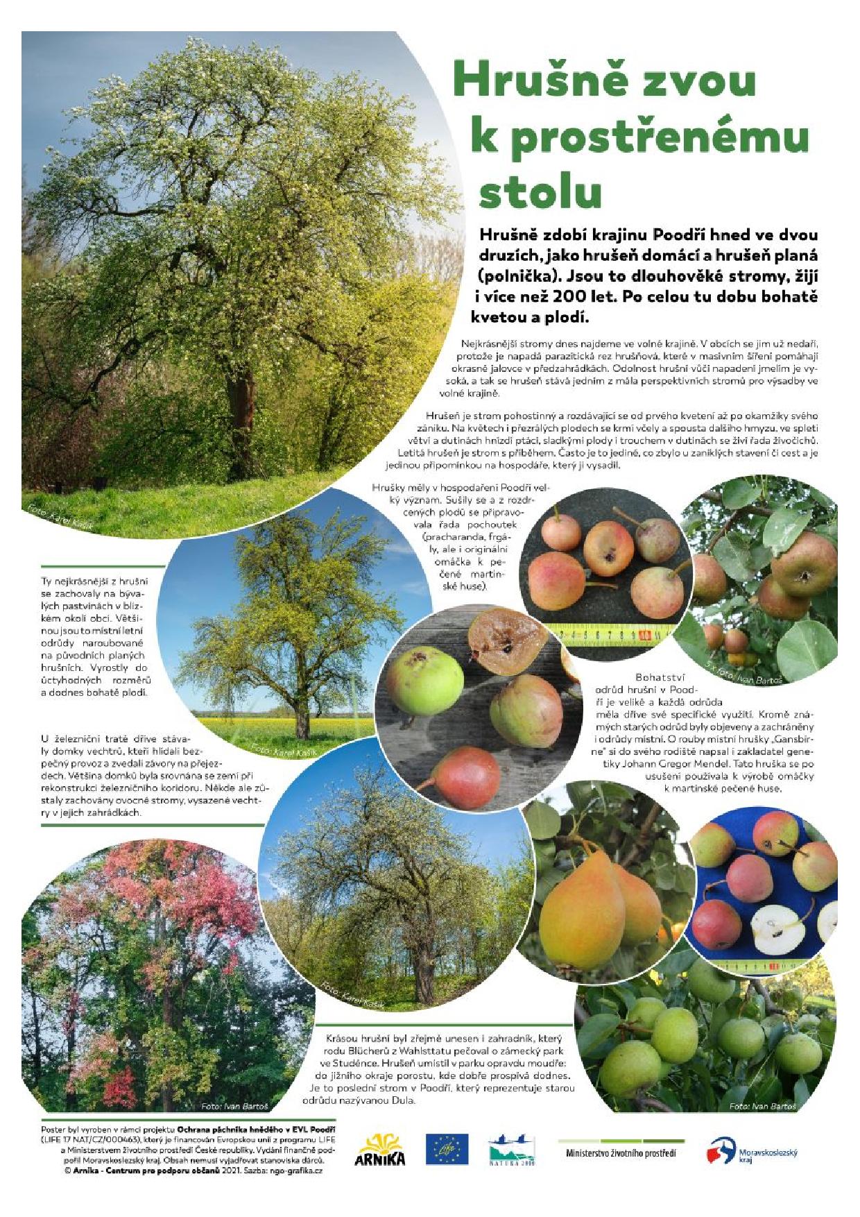 Vystava Za starymi stromy v Poodri01 converted page 008