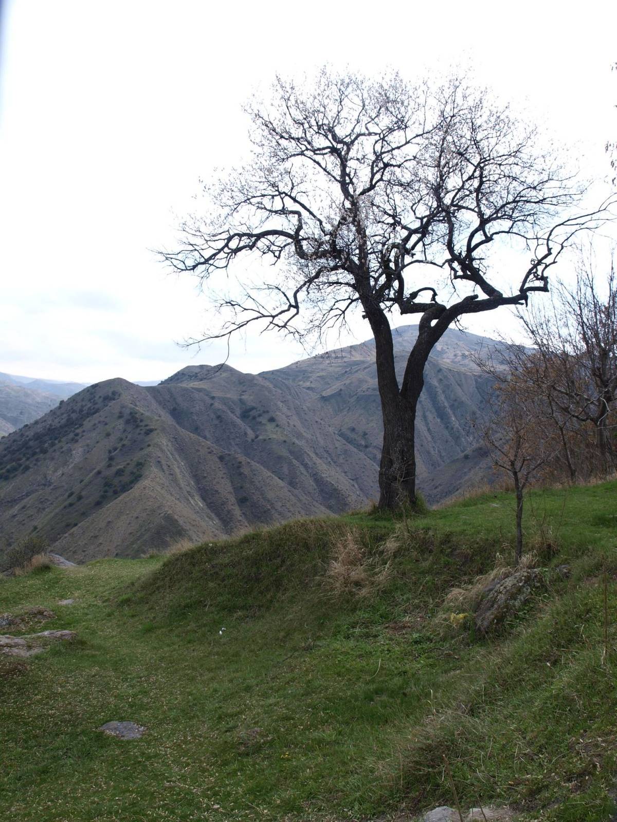 Armenian spring near Garni.jpg