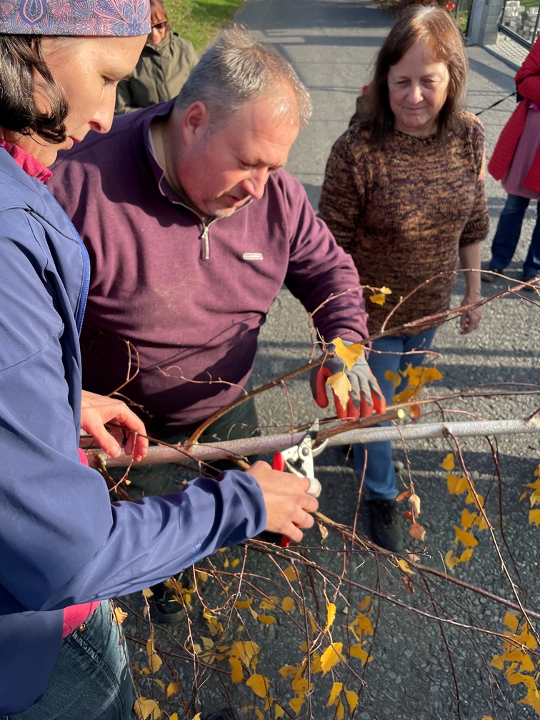 2425 Opava Ořechovka MKolátková2