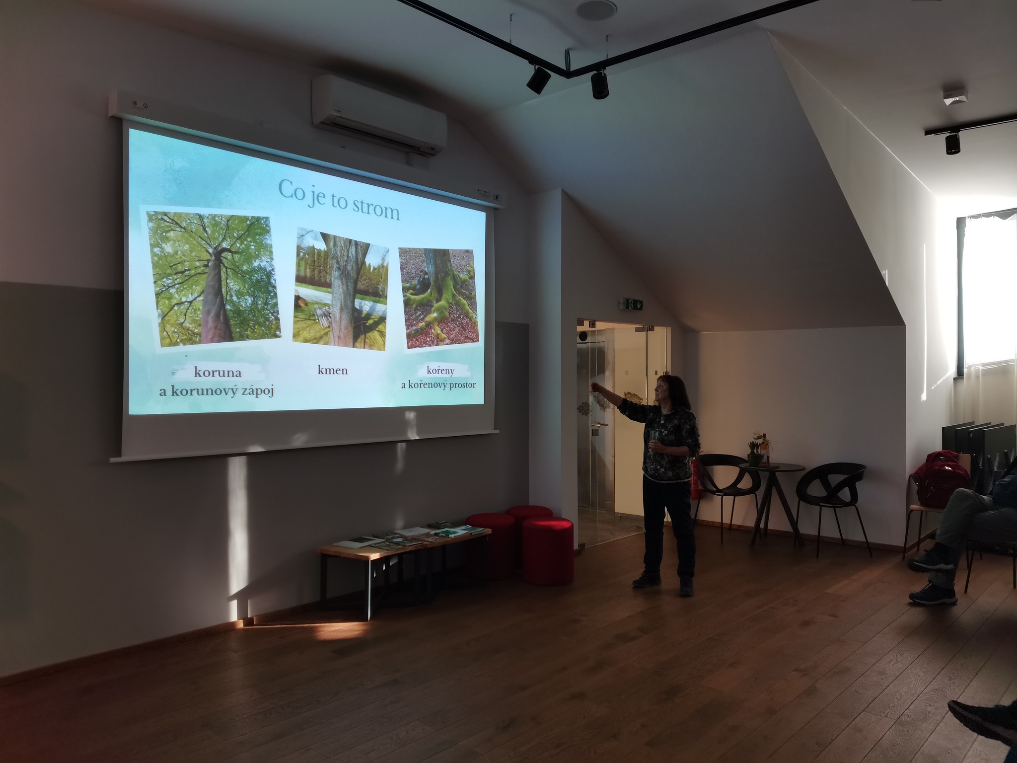 250403 Bystrice park foto Bystřice Muz IC2