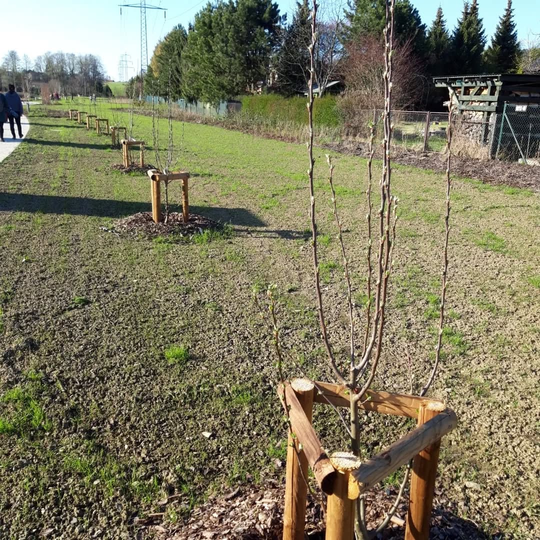 250403 Bystrice park marcela Klemensova2