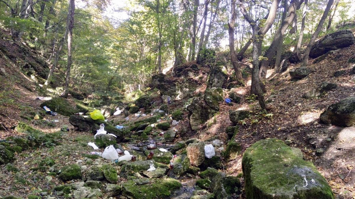 Gorge with litter.jpg
