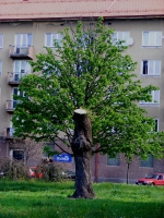 Standardy péče o přírodu a krajinu