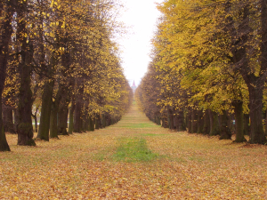 Jič&iacute;n, Valdice