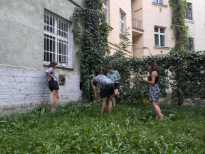 V&yacute;sev původn&iacute; směsi rostlin - komunitn&iacute; vnitroblok Čiklova