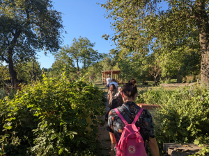 Proch&aacute;zka po komunitn&iacute;ch zahrad&aacute;ch