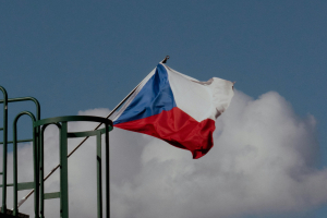 N&aacute;vrh vl&aacute;dn&iacute;ho prohl&aacute;&scaron;en&iacute; pl&aacute;nuje &scaron;ikanovat nevl&aacute;dn&iacute; organizace po vzoru autorit&aacute;řsk&yacute;ch režimů