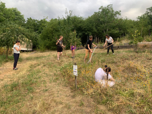 Kosen&iacute; květnat&eacute; loučky na Kotlasce