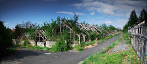 Zveme v&aacute;s na posledn&iacute; podzimn&iacute; proch&aacute;zku pod&eacute;l Dejvick&eacute;ho potoka