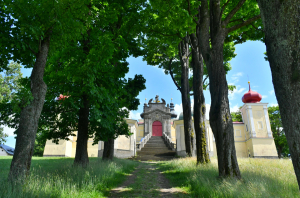 Nominace do Aleje roku 2024 ukazuj&iacute;, že ke stromům v&aacute;že lidi citov&eacute; pouto