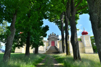 Nominace do Aleje roku 2024 ukazují, že ke stromům váže lidi citové pouto