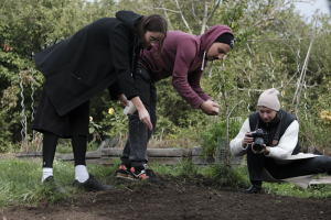 V&yacute;sev původn&iacute; směsi rostlin - komunitn&iacute; zahrada Kotlaska