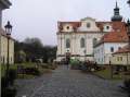 Soud potvrdil, že Břevnovský klášter  pokácel staletou alej neoprávněně