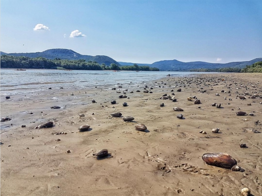 Danube gone dry as the water level hits record low