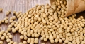 Genetically modified soy illegally in Republic of Srpska