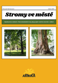 Stromy ve městě