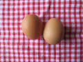 Nebezpečné látky se dostávají až do vajec z domácích chovů