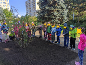 V&yacute;sev původn&iacute; směsi rostlin - zahrada &scaron;koly Vitae