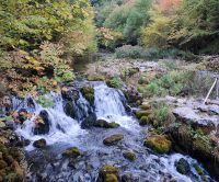 Prameny Sany jsou konečně přírodní památkou
