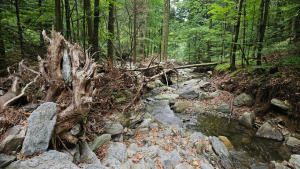 Vrac&iacute;me život na&scaron;im řek&aacute;m. Inspiraci a ře&scaron;en&iacute; přinese konference Ř&iacute;čn&iacute; krajina 2025 v Litomy&scaron;li.