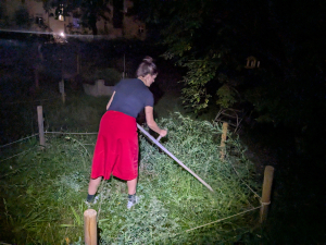 Kosen&iacute; v komunitn&iacute; zahradě Mečislavka