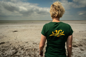 Ekologov&eacute; z Arniky na&scaron;li v sedimentech zničen&eacute; ukrajinsk&eacute; přehrady Kachovka nebezpečn&yacute; pesticid DDT a jin&eacute; nebezpečn&eacute; l&aacute;tky