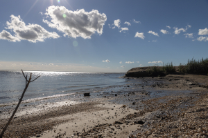 V&yacute;zkum sedimentů v oblasti zničen&eacute; Kachovsk&eacute; přehrady odhalil nebezpečn&eacute; zneči&scaron;těn&iacute; v Z&aacute;porož&iacute;. Pod&iacute;leli se na něm tak&eacute; če&scaron;t&iacute; odborn&iacute;ci