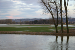 Z&aacute;kon o obnově př&iacute;rody přežil kl&iacute;čov&eacute; hlasov&aacute;n&iacute; ve v&yacute;boru europarlamentu a je krok od schv&aacute;len&iacute;
