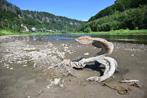 Projekt kan&aacute;lu Dunaj-Odra-Labe byl ofici&aacute;lně vyřazen z kl&iacute;čov&eacute; evropsk&eacute; dohody o vodn&iacute;ch cest&aacute;ch