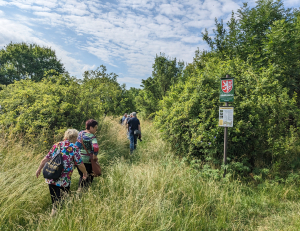 Tohle město nen&iacute; pro star&yacute;? Proch&aacute;zka po městsk&eacute; krajině