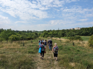 Tohle město nen&iacute; pro star&yacute;? Arnika poř&aacute;d&aacute; pro pražsk&eacute; seniory proch&aacute;zku po městsk&eacute; krajině.