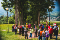 Anketa Alej roku 2024 je ve finální fázi, Arnika odkrývá aktuální počty hlasů! Podpořte svou oblíbenou alej do 29.ledna