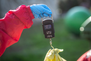 Arnika vyhl&aacute;sila v&yacute;sledky Odpadov&eacute;ho Oskara 2023. Podle dat se odpadov&eacute; hospod&aacute;řstv&iacute; zlep&scaron;uje