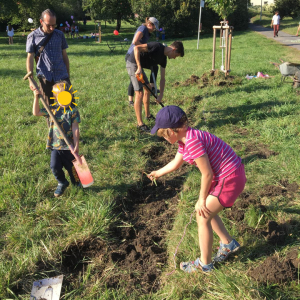 V&yacute;sev původn&iacute; směsi rostlin - komunitn&iacute; zahrada Hercovka