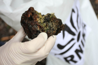 Struska nalezená nedaleko Frýdlantu