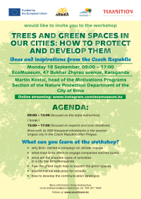 Trees and green spaces in our cities: how to protect and develop them