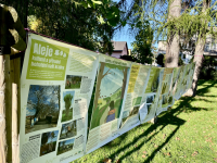 Oslava Dne stromů 2024 v Opavě