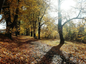 Klokotsk&aacute; alej 