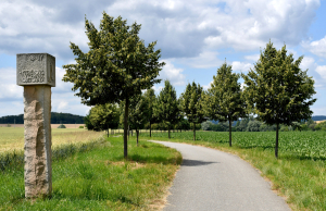 Jak si vede va&scaron;e obl&iacute;ben&aacute; alej v anketě Alej roku 2023? Arnika dočasně odhalila počty hlasů!