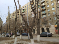Trees and the city. New protection rules in Karaganda