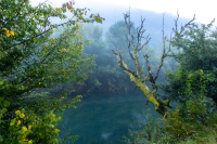 Vodní toky potřebují citlivý přístup. Arnika se více zaměří na ochranu volně tekoucích řek