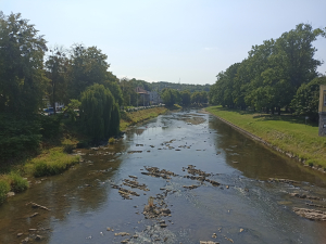Unik&aacute;tn&iacute; &uacute;sek řeky Ol&scaron;e je ohrožen necitliv&yacute;mi z&aacute;sahy spr&aacute;vce toku. Arnika ž&aacute;d&aacute; zastaven&iacute; t&eacute;to činnosti