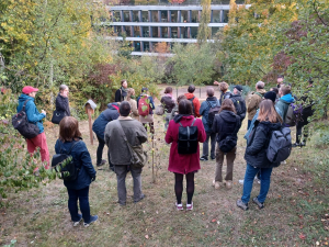 Ohl&eacute;dnut&iacute; za proch&aacute;zkou z Radlic na Vidouli
